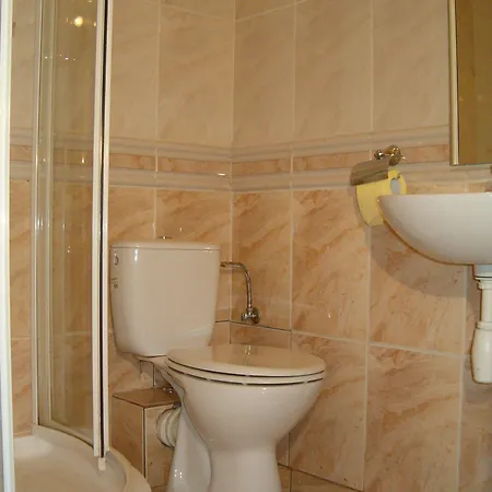 Daisy Budget كراكوفيا