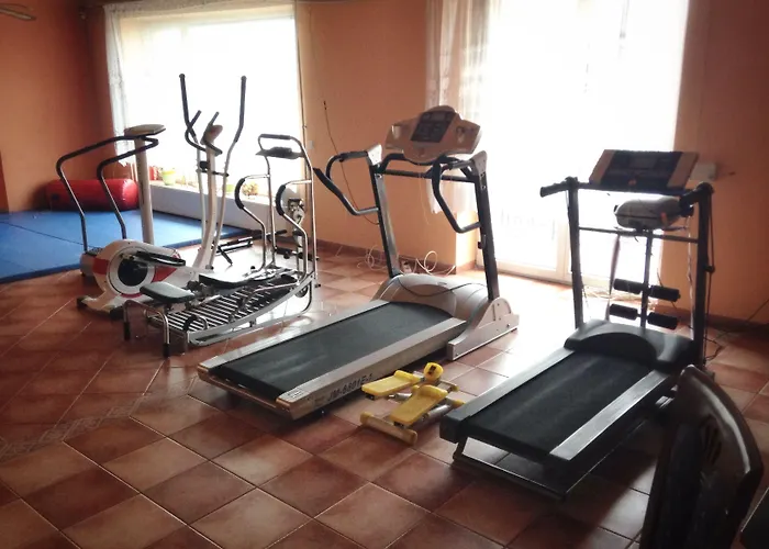 Daisy Budget * Krakow