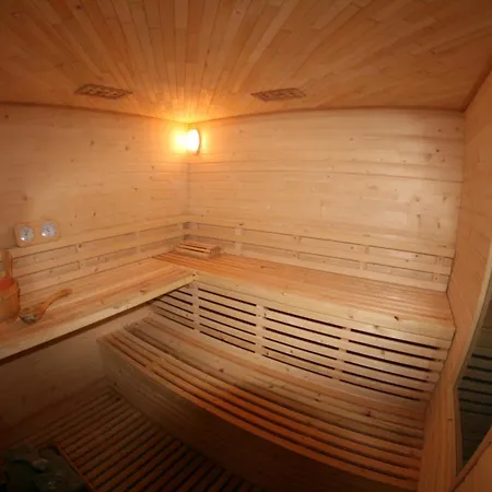 Daisy Budget Kraków