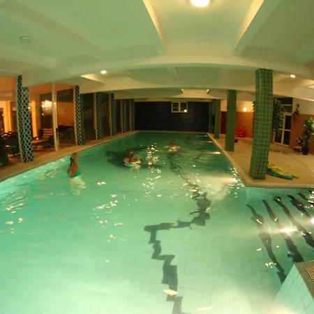 Daisy Budget * Kraków