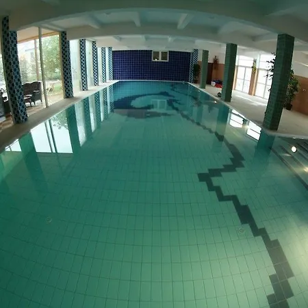 Daisy Budget * Kraków