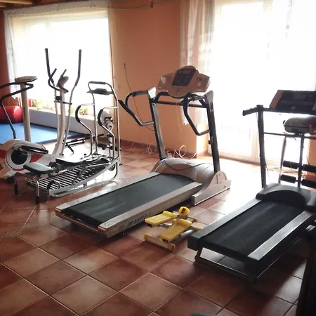 Daisy Budget * Kraków