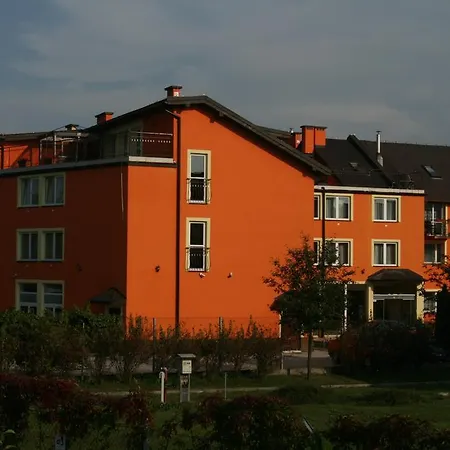 Daisy Budget * Krakow