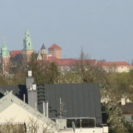 Daisy Budget Krakkó